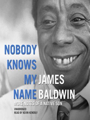 cover image of Nobody Knows My Name